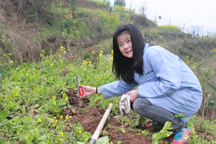 微特電子組織員工及家屬參加植樹(shù)節(jié)義務(wù)植樹(shù)活動(dòng)